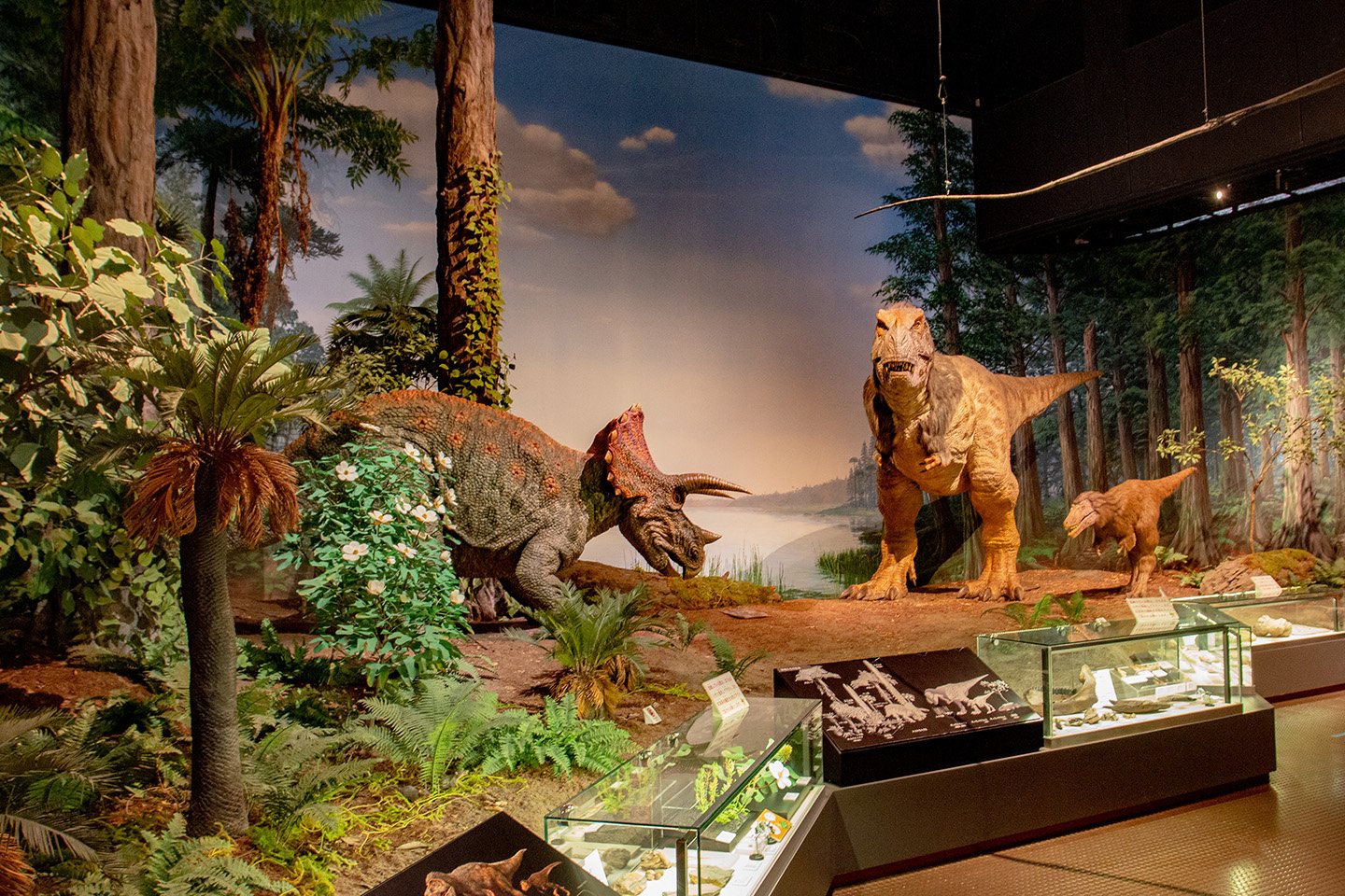 🏛️ 홋카이도 박물관(홋카이도 하쿠부츠칸) 이미지 5